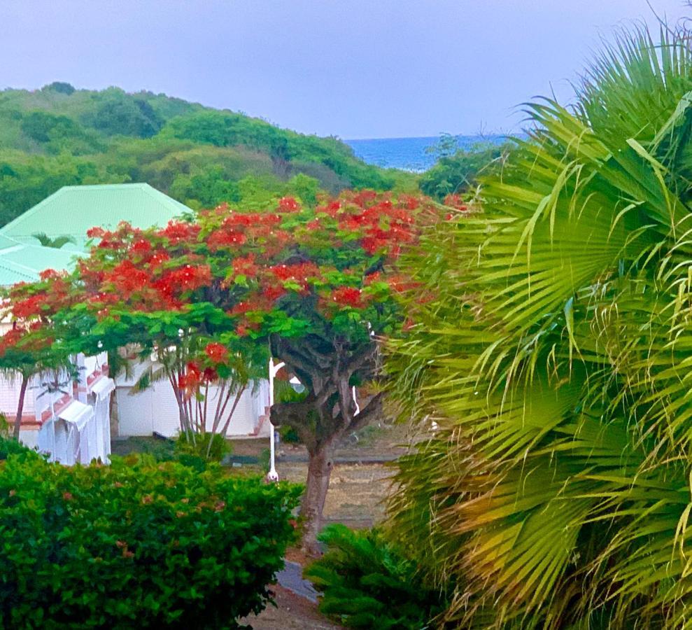 Le Titouloulou 1023 Anse Des Rochers Saint-Francois  Bagian luar foto